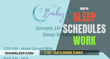 Understanding Sleep Schedules: A Guide to Better Rest