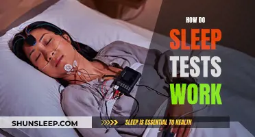 Understanding Sleep Tests: Process and Results