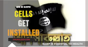 Sleeper Cells: Tactics and Methods of Infiltration and Installation