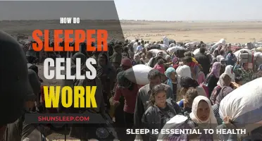 Sleeper Cells: A Quiet, Deadly Force Explained