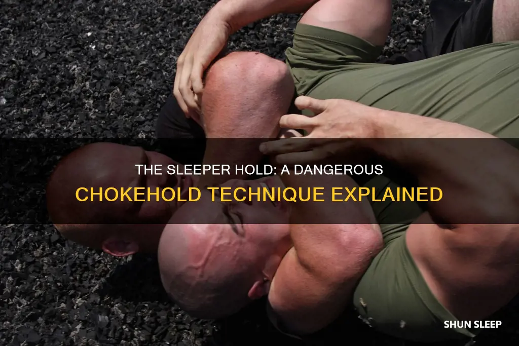 how do sleeper holds work
