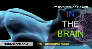 Sleeping Pills: Brain's Effect Explained