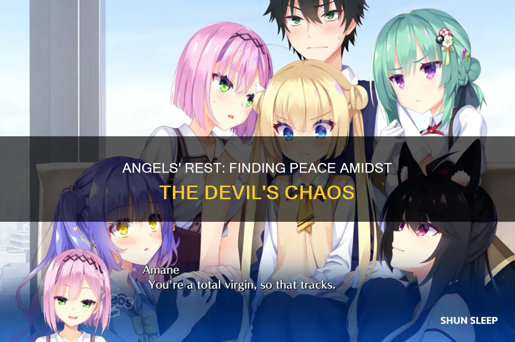 how do the angels get to sleep when the devil