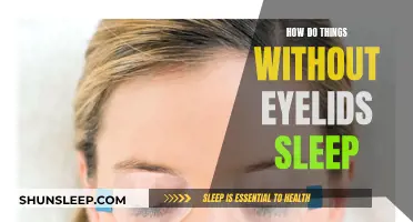 The Mystery of Eyelid-less Sleep: How Do They Do It?
