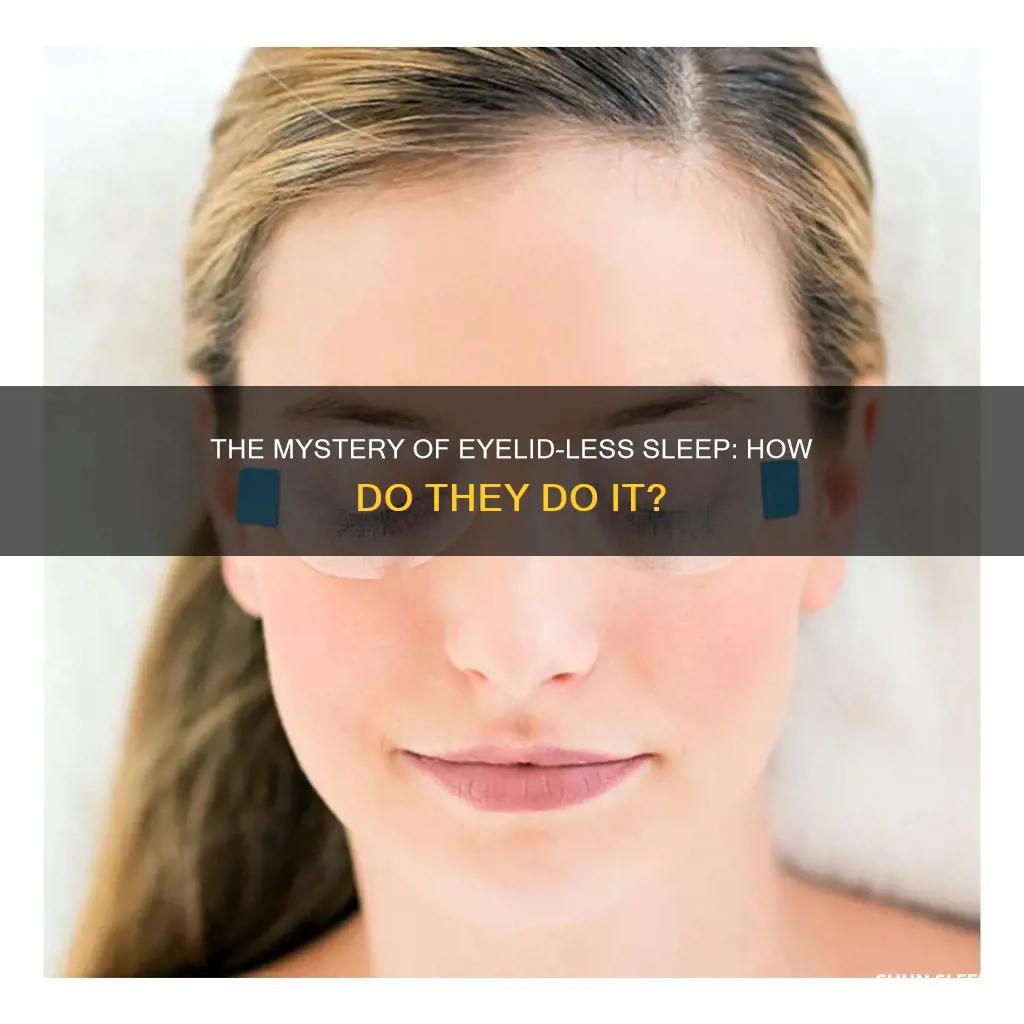 how do things without eyelids sleep