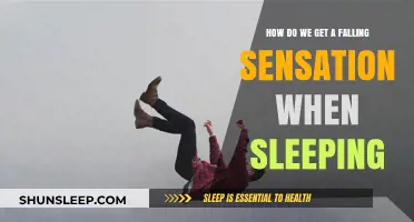 Why Do We Experience Falling Sensations While Sleeping? Explained