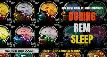 The Mystery of REM Sleep: Are We Unconscious?