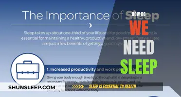 Sleep: A Biological Necessity for Human Survival and Functioning