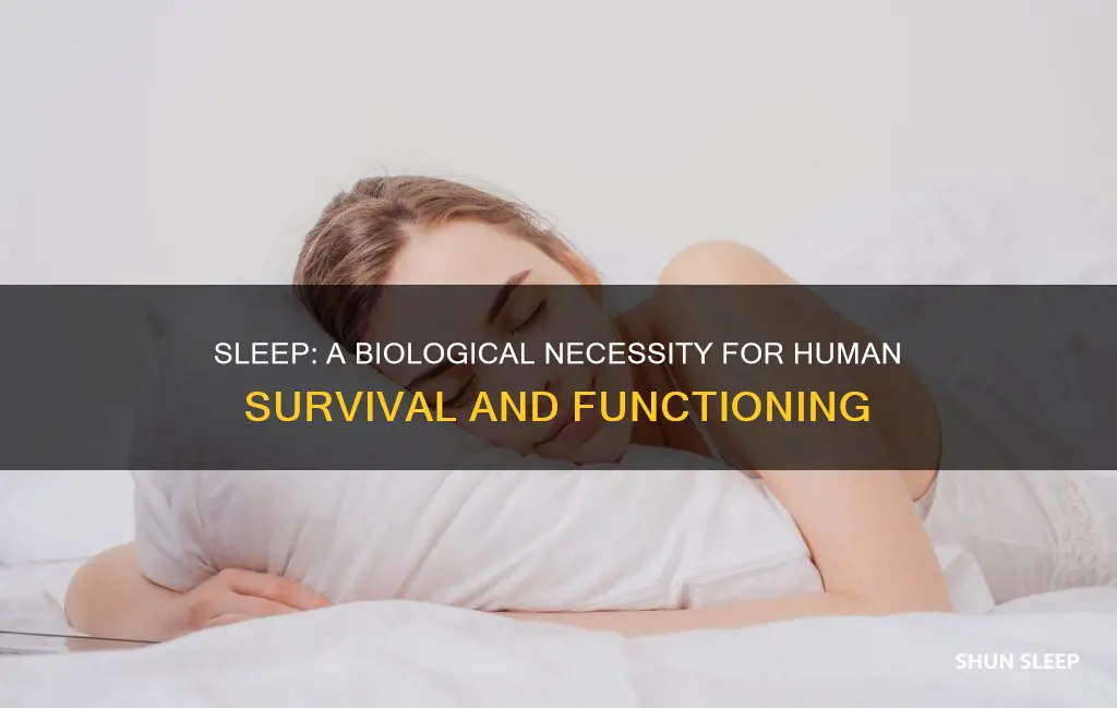 how do we need sleep