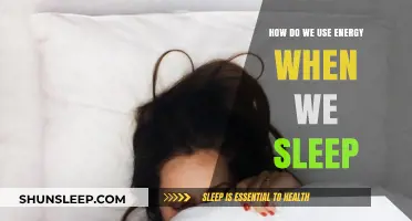 Energy Expenditure During Sleep: What's Happening?