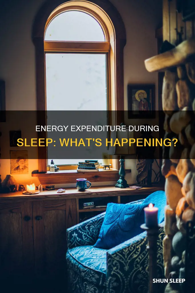 how do we use energy when we sleep