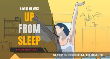 The Science of Waking Up: Unlocking the Secrets to a Refreshing Start