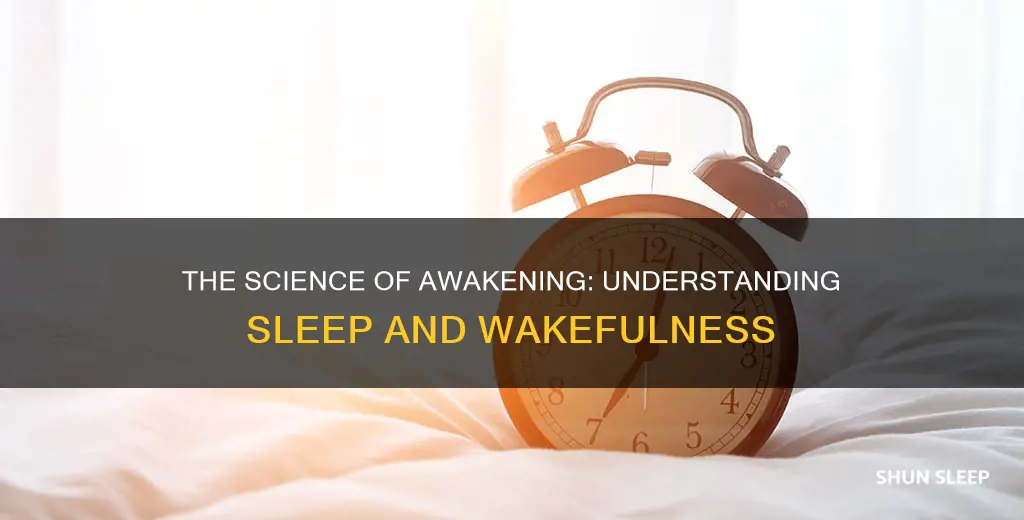 how do we wake up from sleep