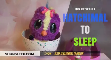How to Get Your Hatchimal to Sleep: Simple Tips and Tricks
