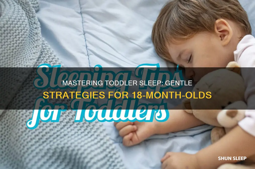 how do you get an 18 month old to sleep