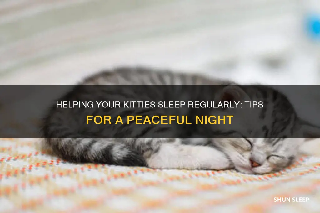 how do you get kitties regular go to sleep