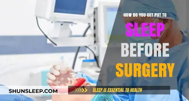 Understanding Anesthesia: How You're Safely Put to Sleep Before Surgery