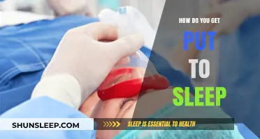 Understanding Anesthesia: How Do You Get Put to Sleep Safely?