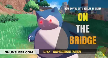 Catching Z's on the Bridge: Snorlax's Slumber Secrets Revealed