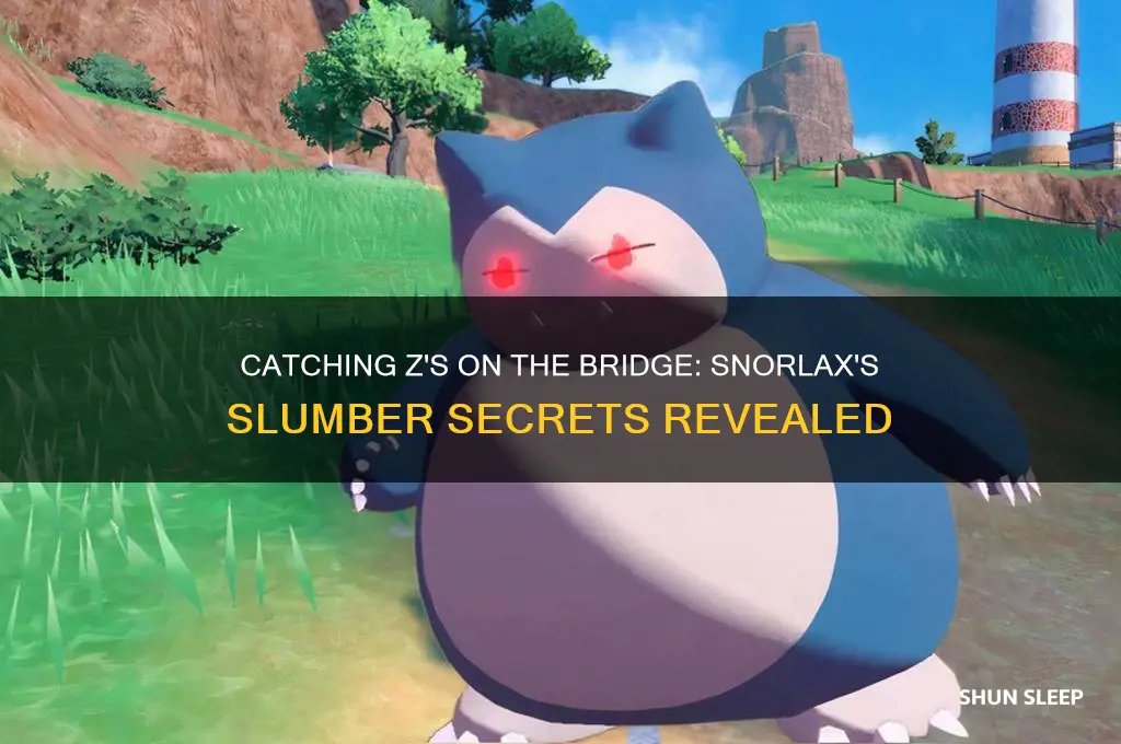 how do you get snorlax to sleep on the bridge