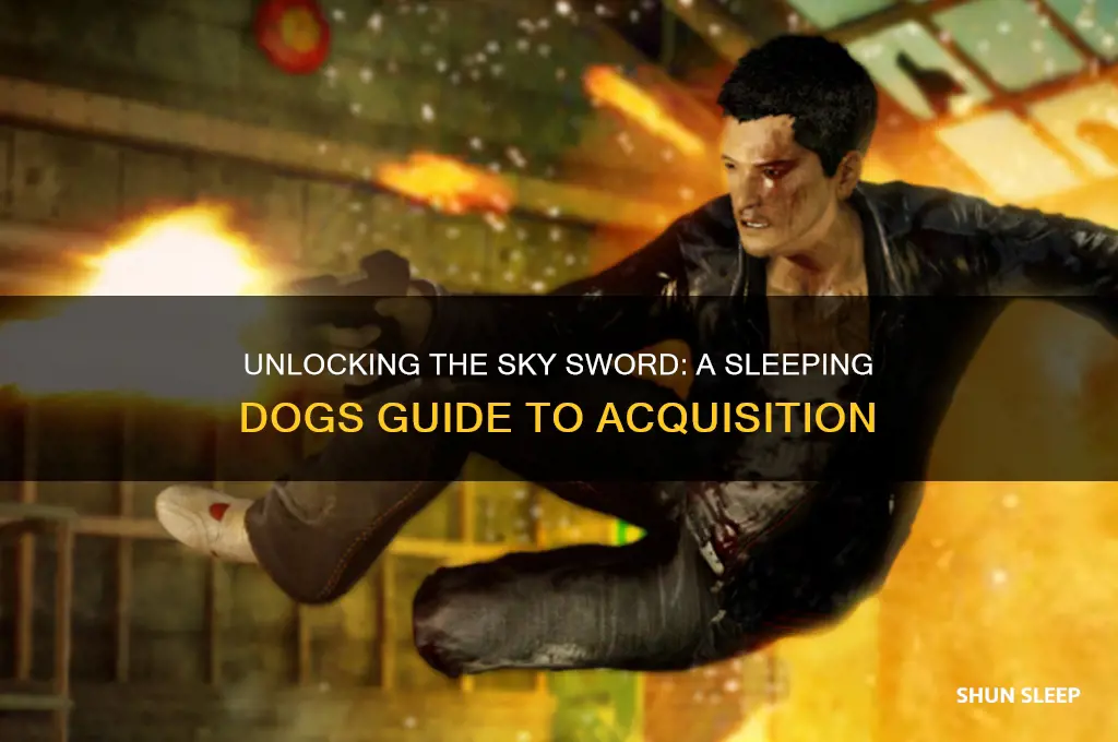 how do you get the sky sword in sleeping dogs