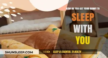 Cozy Bunny Bedtime: Tips for Sharing Your Sleep Space with Your Rabbit