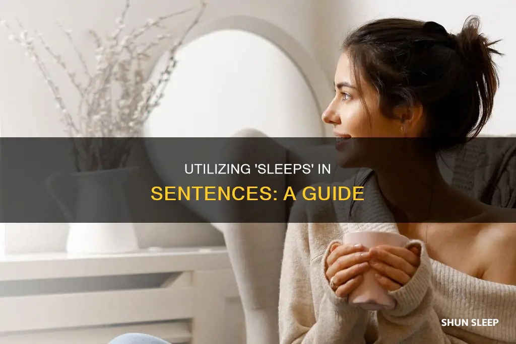 how do you use sleeps in a sentence