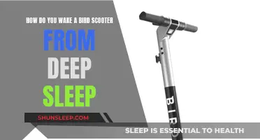 Unleash the Bird: Tips for Waking Up Your Scooter from Slumber