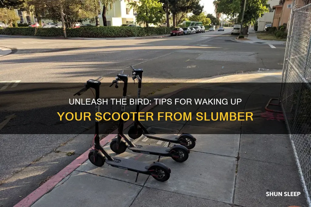 how do you wake a bird scooter from deep sleep