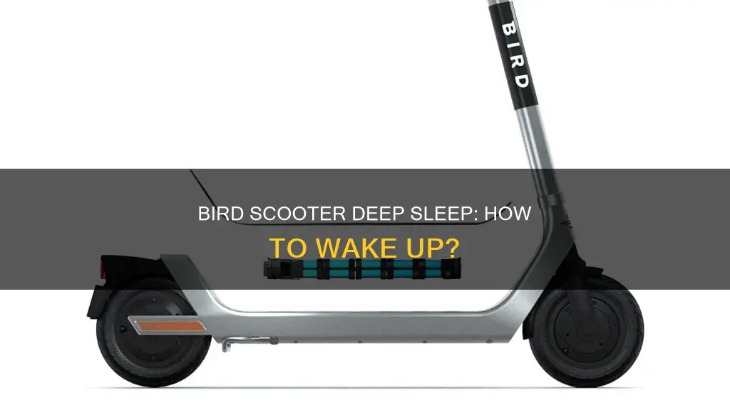 how do you wake a bird scooter from deep sleep