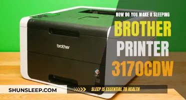 Troubleshooting Tips: Revive Your Brother Printer 3170CDW from Slumber