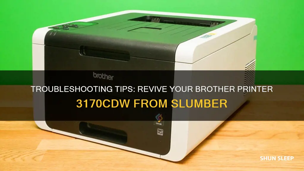 how do you wake a sleeping brother printer 3170cdw