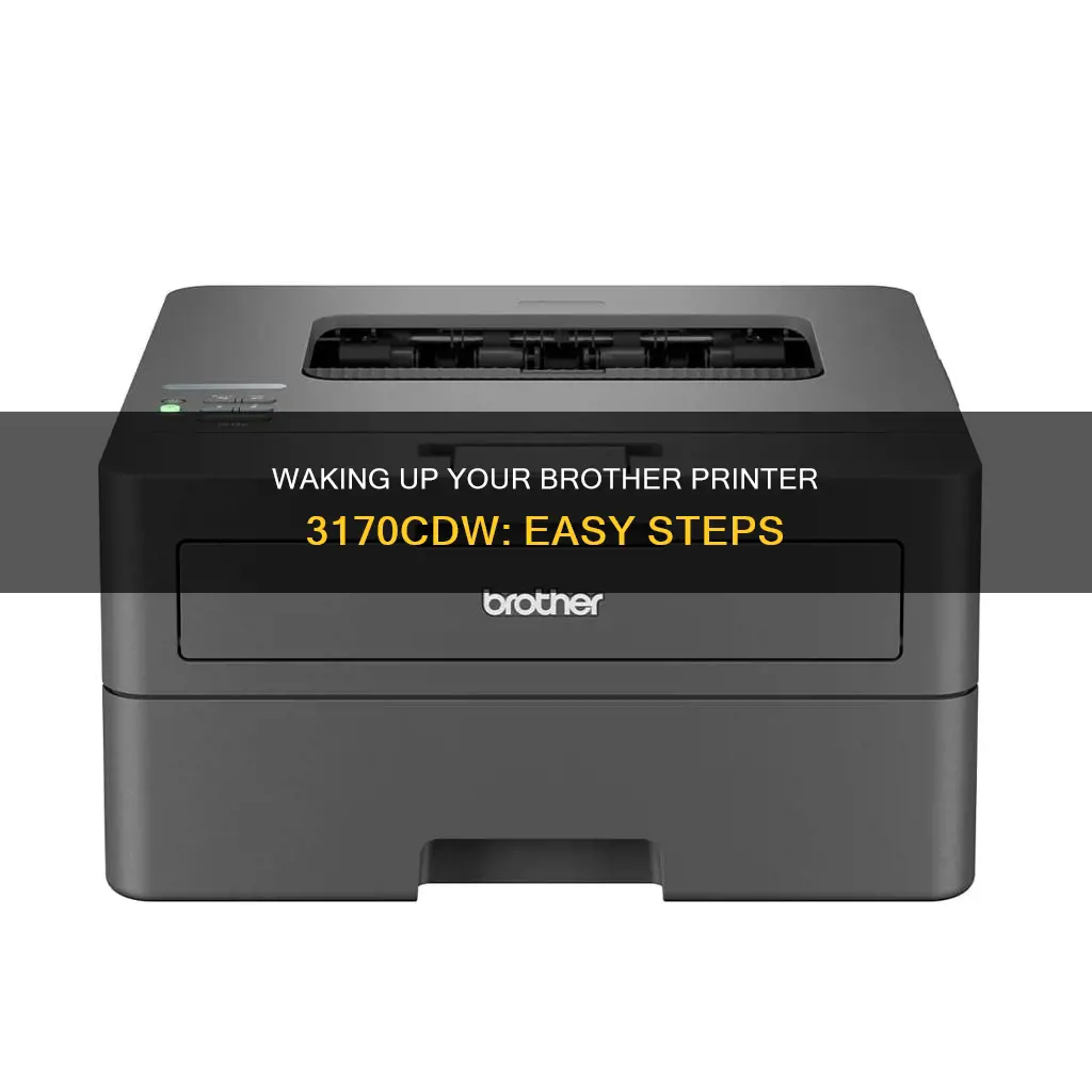 how do you wake a sleeping brother printer 3170cdw