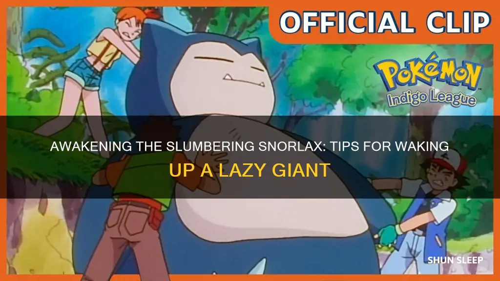 how do you wake a sleeping snorlaxz