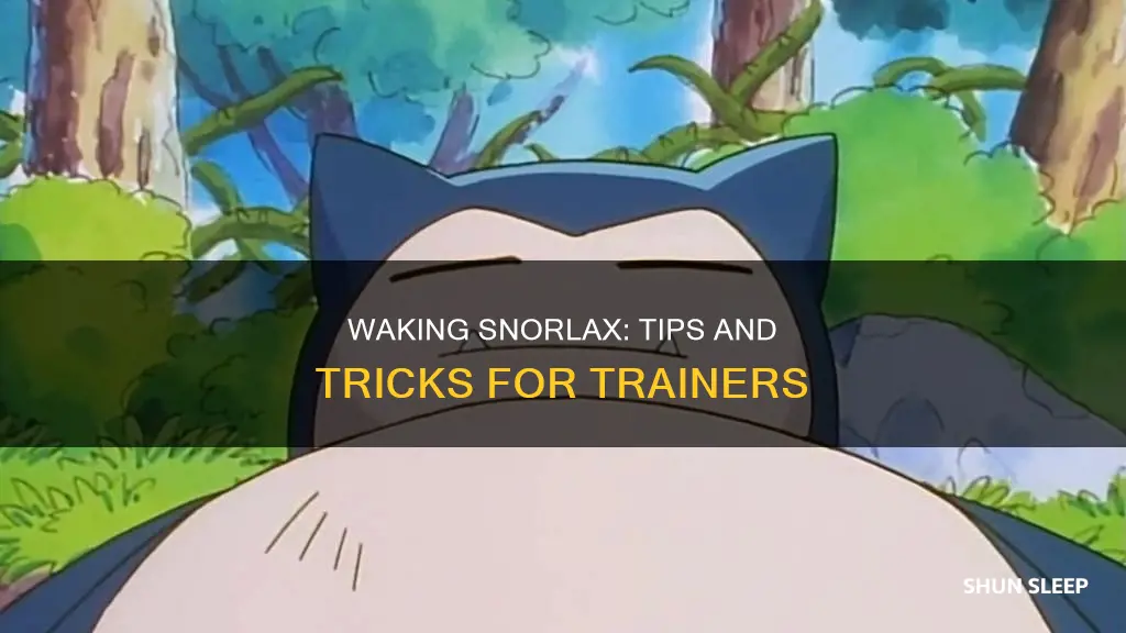 how do you wake a sleeping snorlaxz