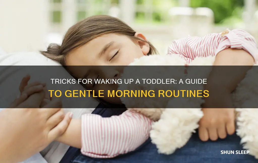 how do you wake a sleeping toddler