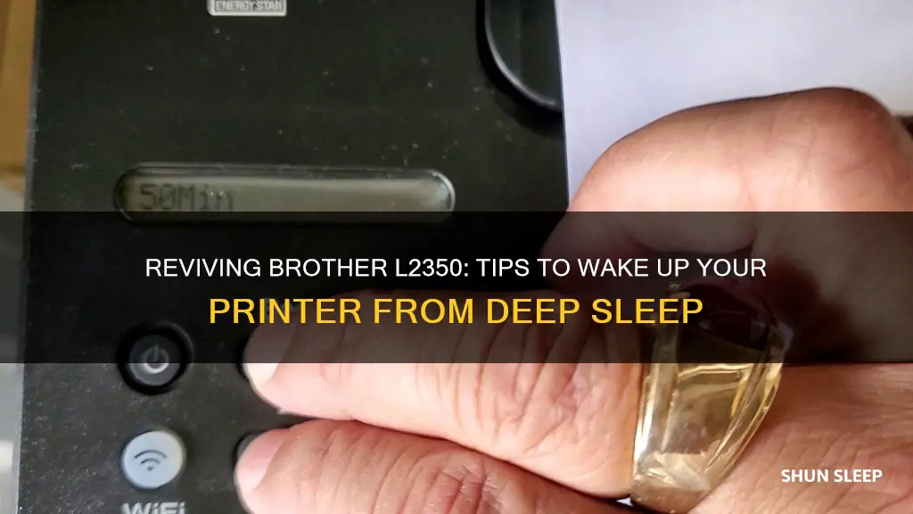 how do you wake the brother l2350 from deep sleep