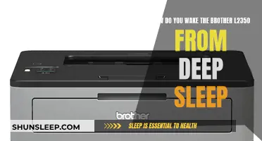 Waking the Brother L2350: Deep Sleep Solutions
