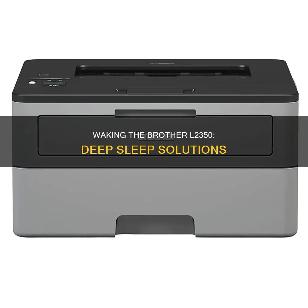 how do you wake the brother l2350 from deep sleep