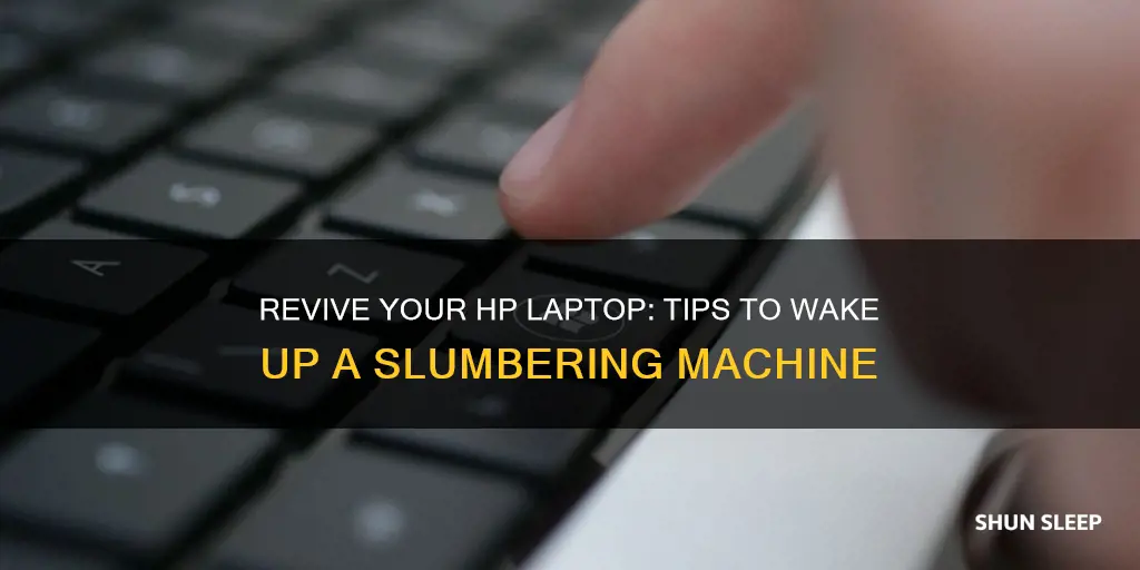 how do you wake up a sleeping hp laptop