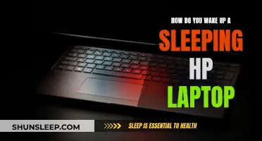 Waking Up Your HP Laptop from Sleep Mode
