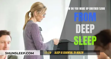 Deep Sleep: Waking Up the Brother 5200 Printer