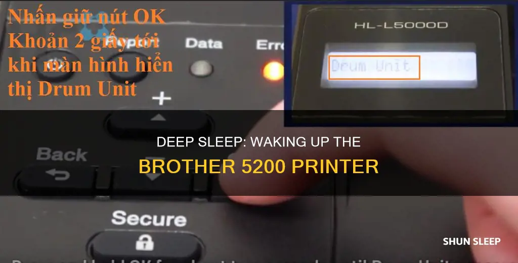 how do you wake up brother 5200 from deep sleep