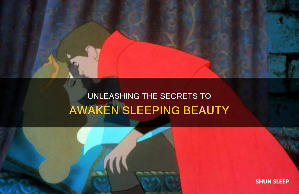 how do you wake up sleeping beauty