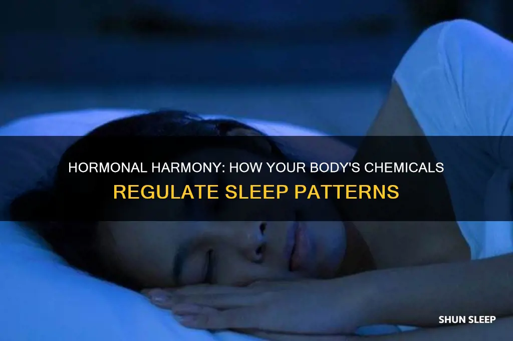 how do your body
