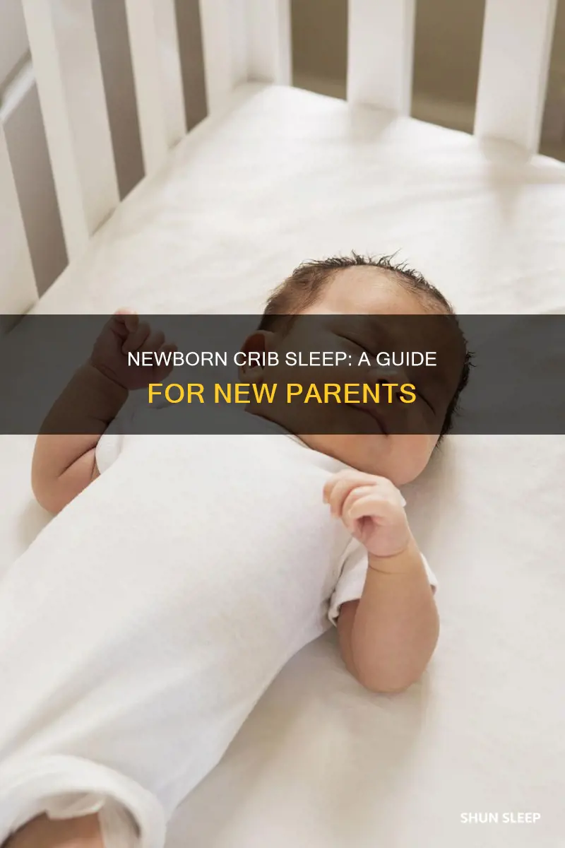 how does a newborn sleep in a crib