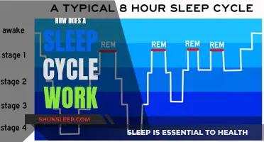 Understanding Sleep Cycles: The Science of Sleep Phases