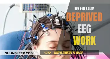 Sleep Deprived EEGs: Brain Waves and Sleep Patterns