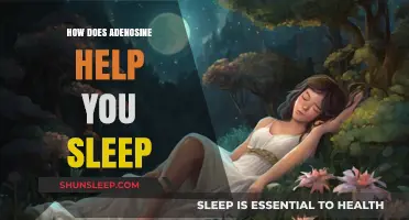 Unlocking Restful Sleep: The Role of Adenosine in Your Slumber