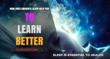 Sleep Smarter: How Adequate Rest Enhances Learning and Memory